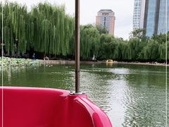 -团结湖公园