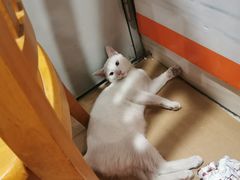 -南雄雄州土菜餐厅(粤北大厦店)