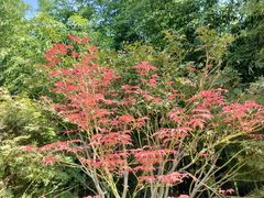 -上海市龙华烈士陵园