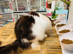 -小时光咖啡馆(北锣鼓巷店)