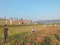 -光明小镇欢乐田园
