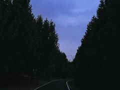 -佛慧山
