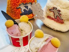 -莉莉熊Lililove Gelato (意大利手工冰淇淋)