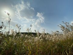 -上海国际音乐村