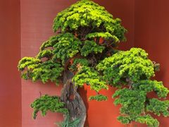 -阿伟海鲜楼·福建菜(延寿店)