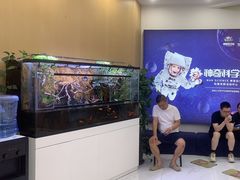 -神奇科学家STEAM科学实验科创赛事机器人编程逻辑思维MadScience(长宁来福士校区)