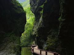 -牛背梁国家森林公园