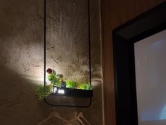 -新紫霞养生·影院足道·SPA(金山区店)