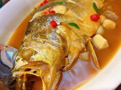 蒜烧大黄鱼-必点海鲜·鲅鱼水饺(鞍山西道店)