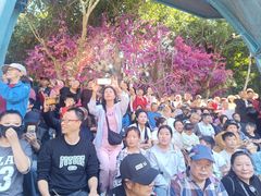-西双版纳原始森林公园