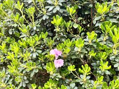 -肖家客饸饹面(郑州总店)