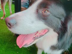 -Cactus墨西哥仙人掌餐厅