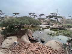 -罗红摄影艺术馆