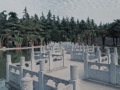 -神州牡丹园
