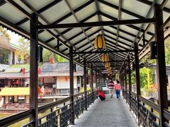 -侨美·唐荔园·40年地道粤菜