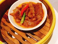 沙爹金钱肚-希尔顿酒店-豫园中餐厅