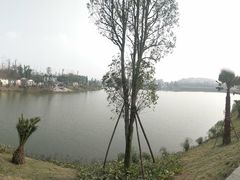 -枫香湖儿童公园