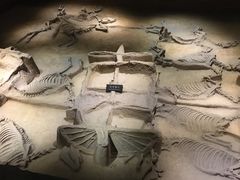 -洛阳周王城天子驾六博物馆