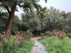 -北京西山国家森林公园