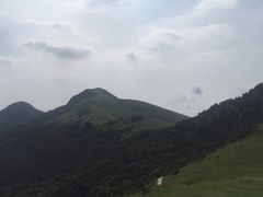 -大姆山草场