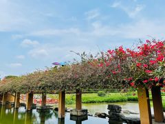 -那考河湿地公园
