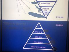 -同济大学四平路校区深海探索馆