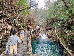 -九龙江国家森林公园