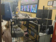 -谜盒子奇幻密室(南屏店)