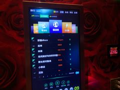 -麦霸KTV(光谷店)