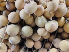 -港华水果街(港华广场店)