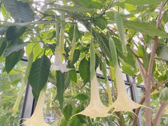 -常州花鸟园酒店(西太湖品牌优选店)