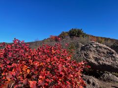 -北京十三陵国家森林公园蟒山景区