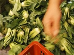 -偶屋里钵少爷(时代广场店)