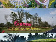 -天府芙蓉园