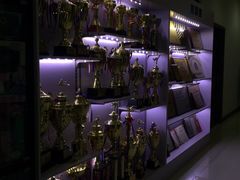 -拳义格斗搏击散打泰拳拳击俱乐部(裕华店)