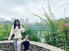 -重庆彩云湖湿地公园