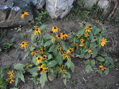 -北京小汤山医院体检中心