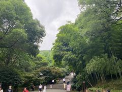 -岳麓山风景名胜区