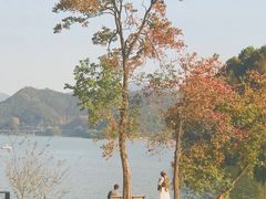 -浙江农林大学(东湖校区)