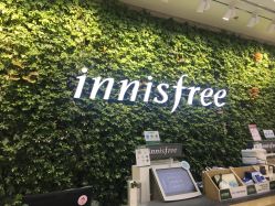 -悦诗风吟innisfree