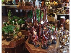 -奥兰多迪士尼动物王国乐园