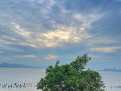 -深圳湾公园(南山区)