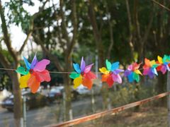 -松山湖梦幻百花洲