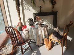 -猫友咖啡店(玉林西路店)