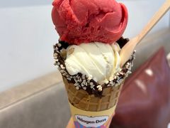 -哈根达斯(大洋百货店)