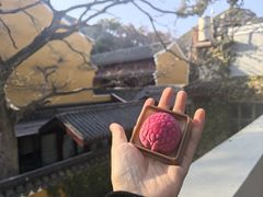 -普陀山雷迪森庄园