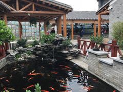 -顺德了能馆(虎门店)