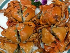 -金水门银河酒楼(新埠岛店)