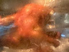 -丽都DELICATESSEN熟食店