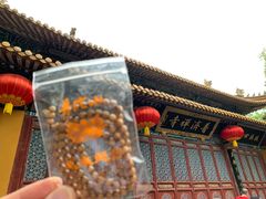 -普陀山风景名胜区-法雨禅寺